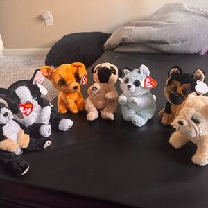 Ty Plush Dog Collection - 7